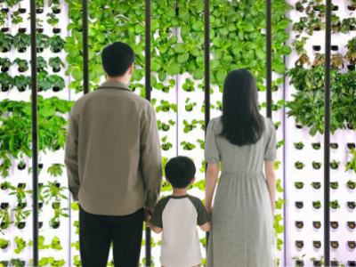 商场 游乐场所 小仓园 室内种植园 一面墙   种菜 养花 引流